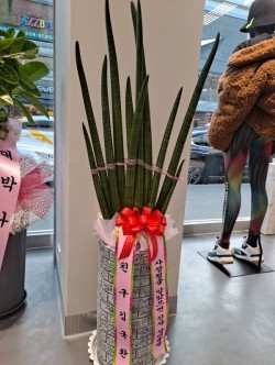 배송사진