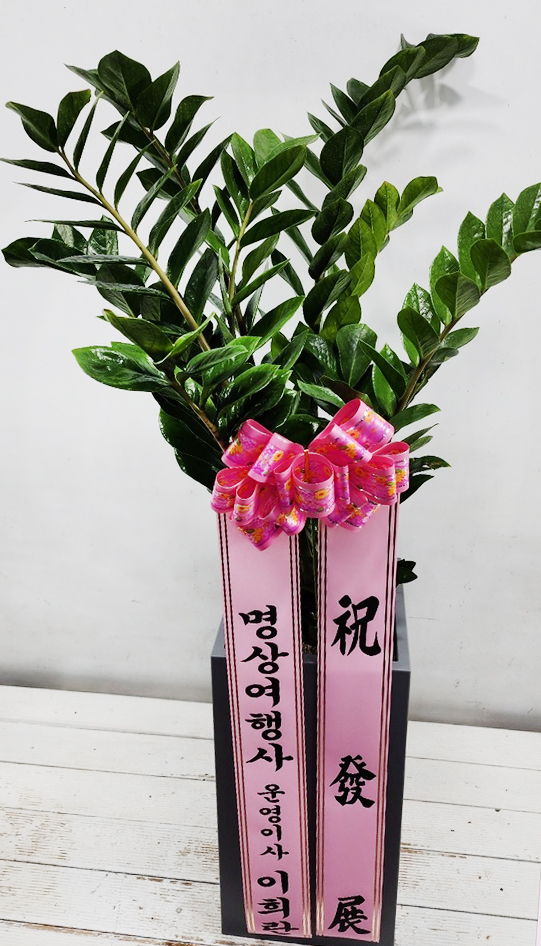 업로드 이미지