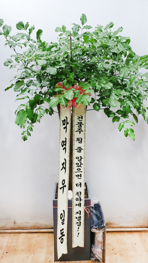 업로드 이미지