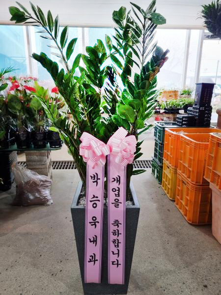 업로드 이미지