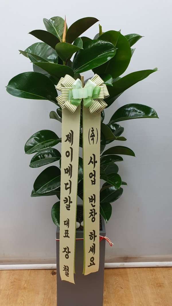 업로드 이미지