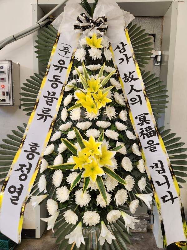 업로드 이미지