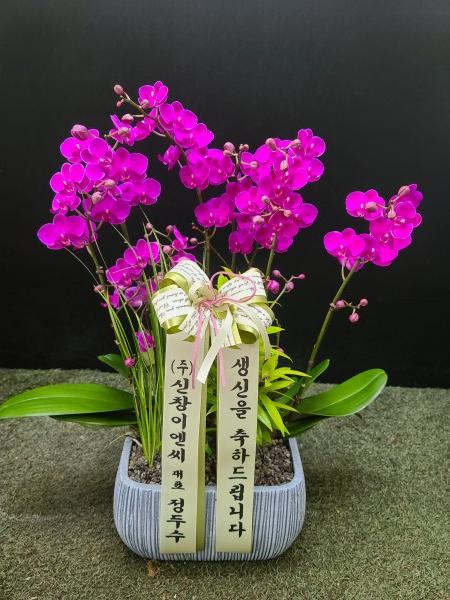 업로드 이미지