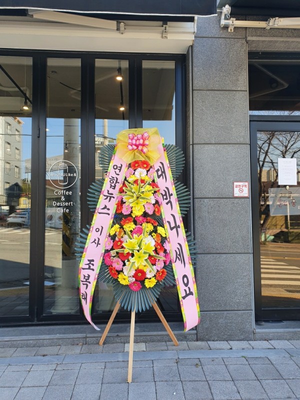 업로드 이미지