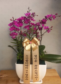 배송사진