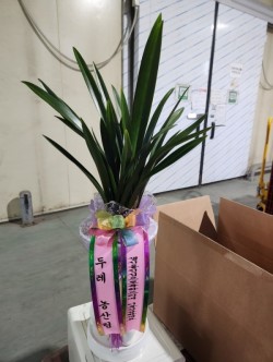 배송사진