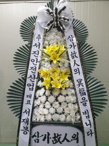 업로드 이미지