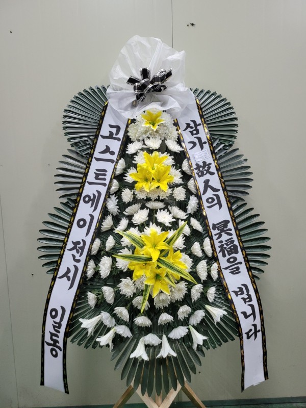 업로드 이미지