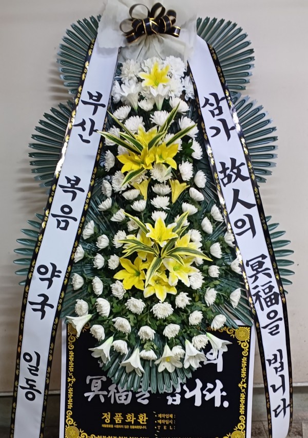 업로드 이미지