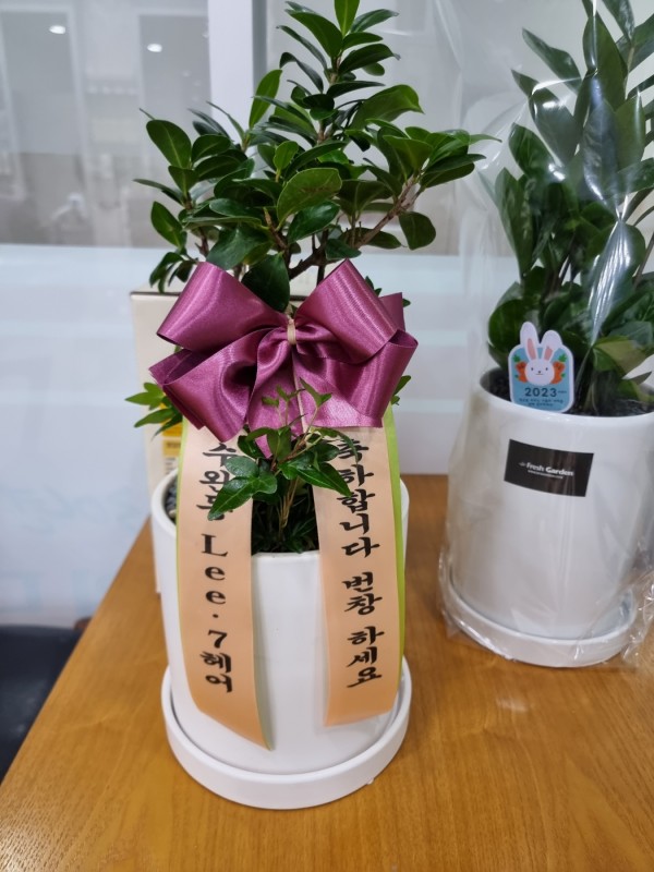업로드 이미지