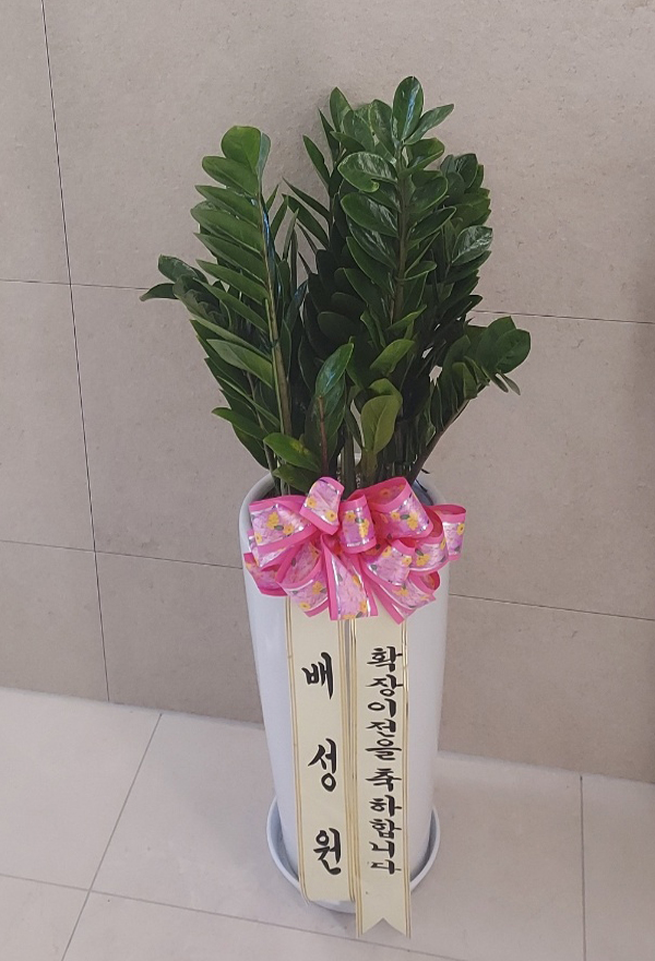 업로드 이미지