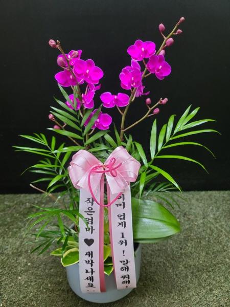 업로드 이미지