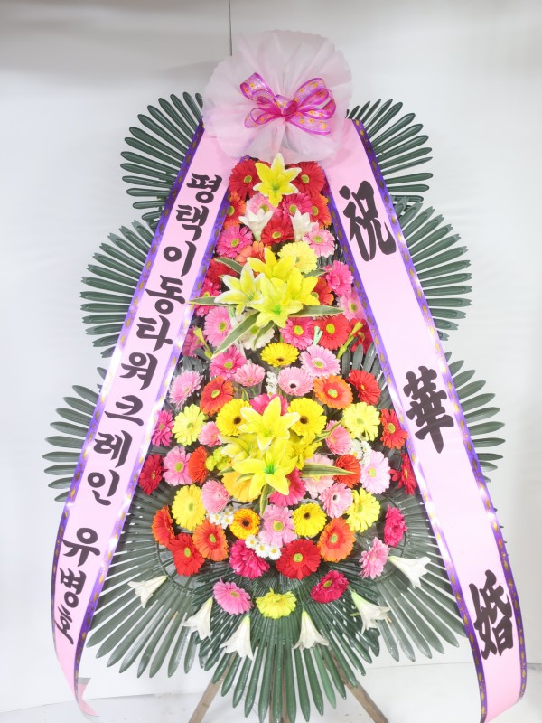 업로드 이미지