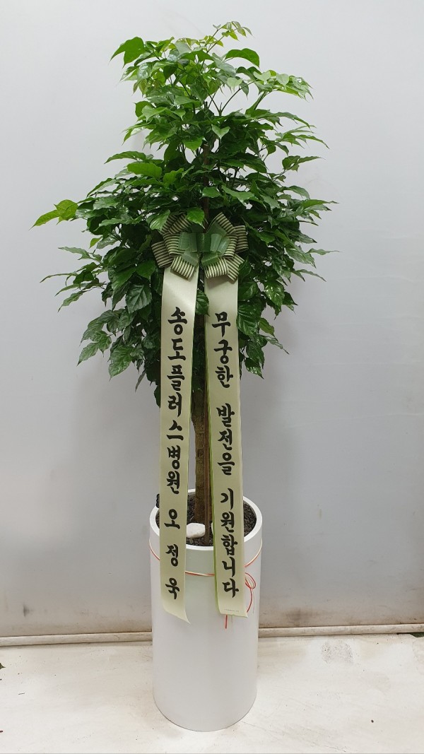 업로드 이미지