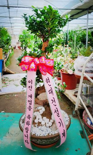 업로드 이미지