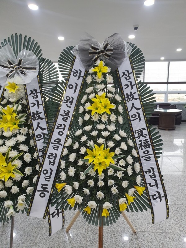 업로드 이미지