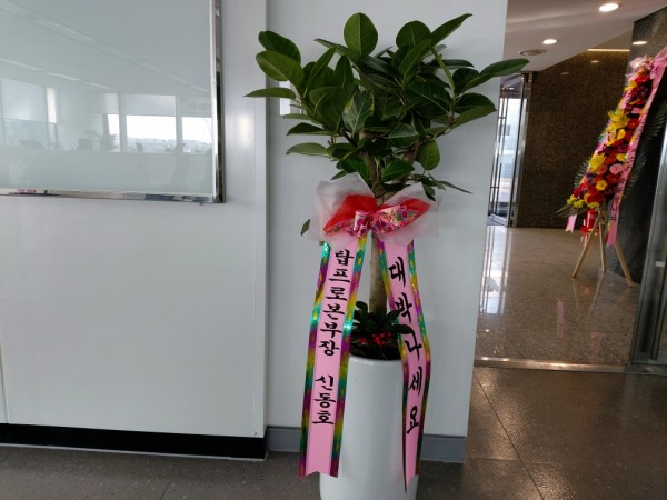 업로드 이미지
