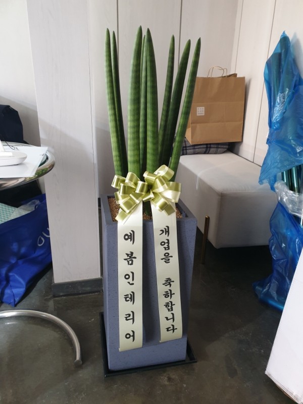 업로드 이미지