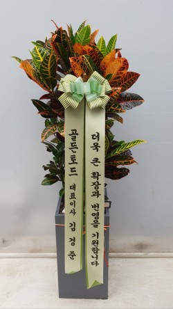 업로드 이미지