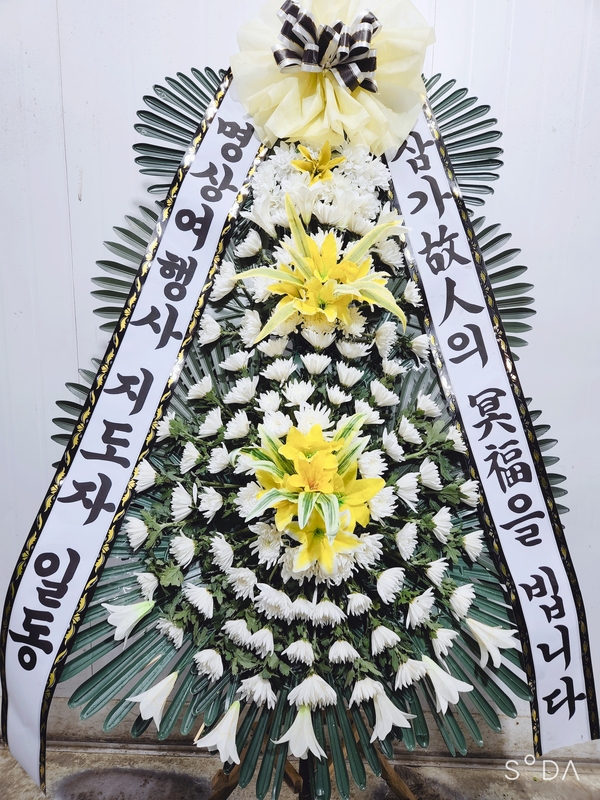 업로드 이미지
