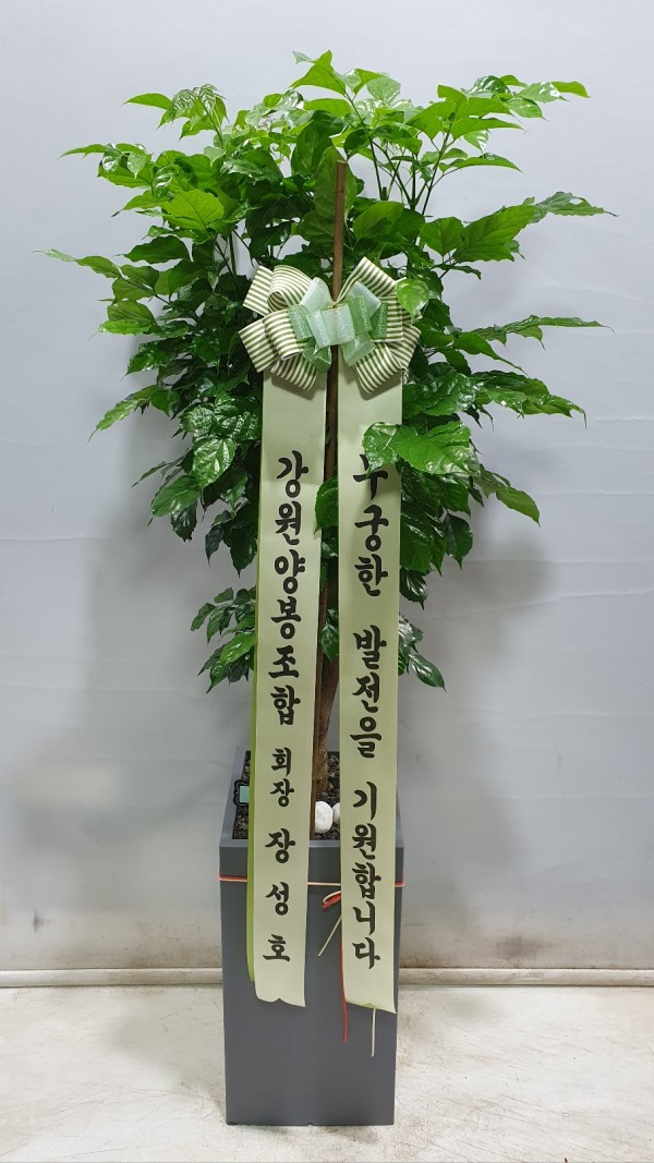 업로드 이미지