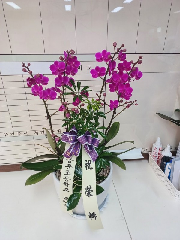 업로드 이미지