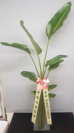 업로드 이미지