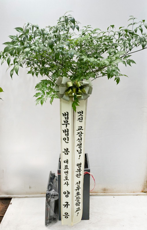 업로드 이미지