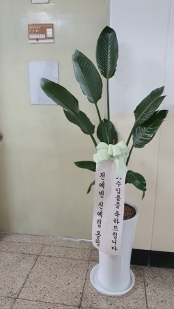 배송사진