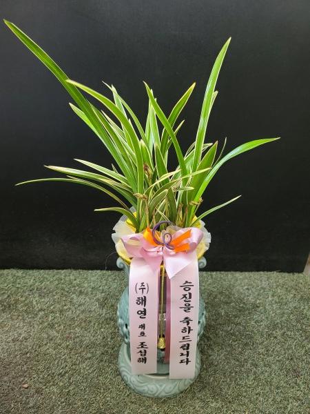 업로드 이미지