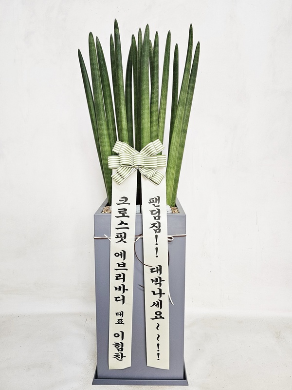 업로드 이미지