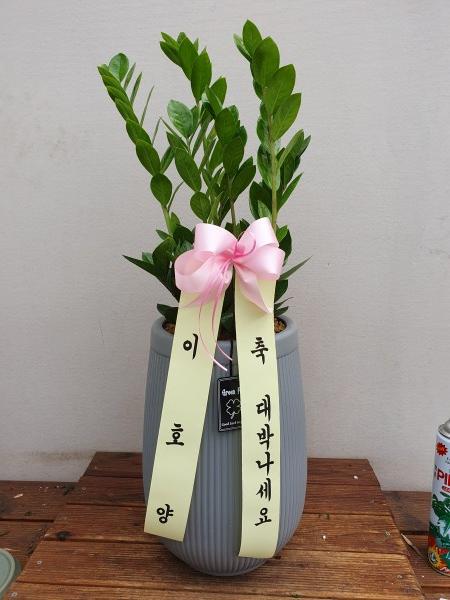 업로드 이미지