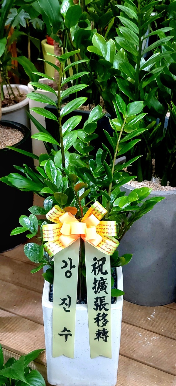 업로드 이미지