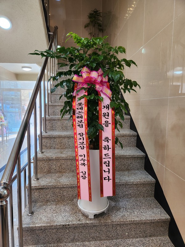 업로드 이미지