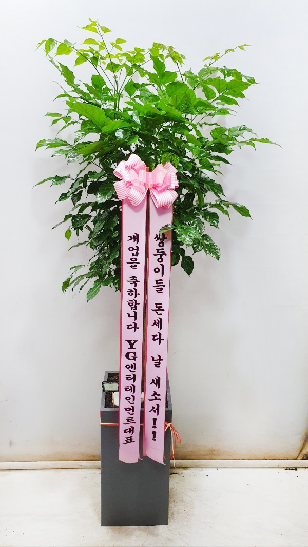 업로드 이미지