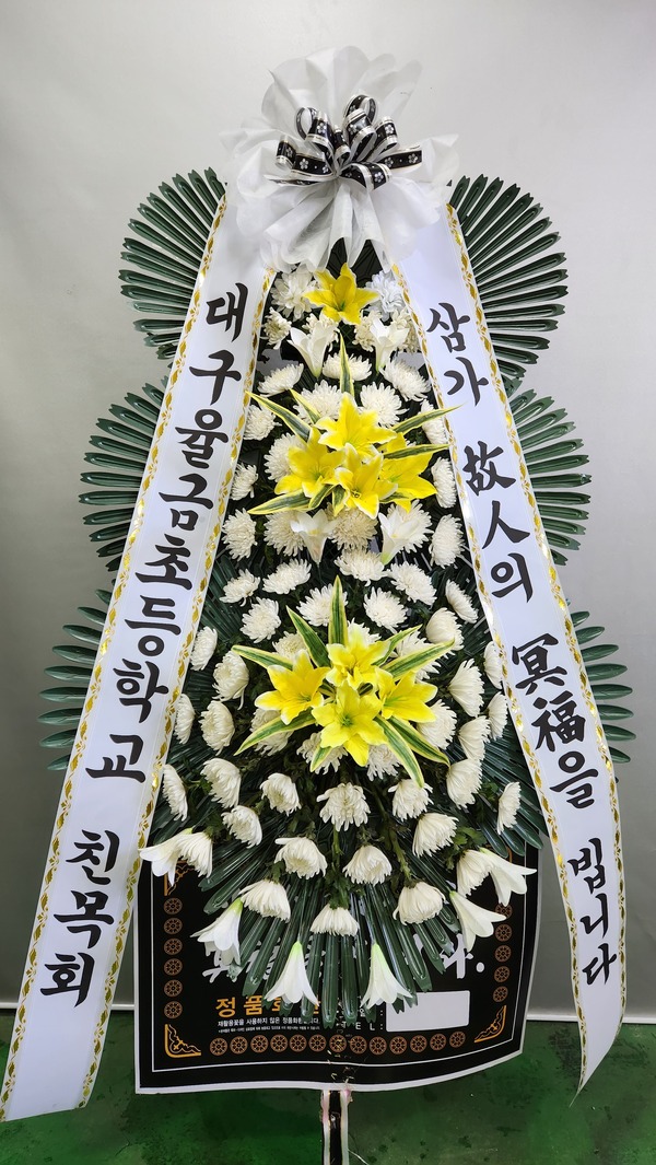 업로드 이미지