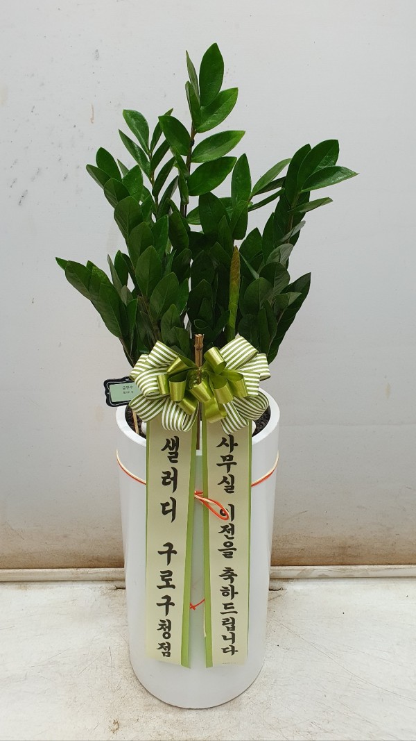 업로드 이미지