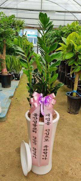 업로드 이미지