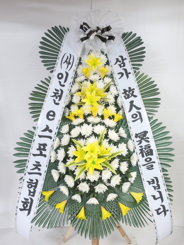 업로드 이미지