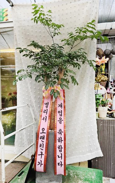 업로드 이미지