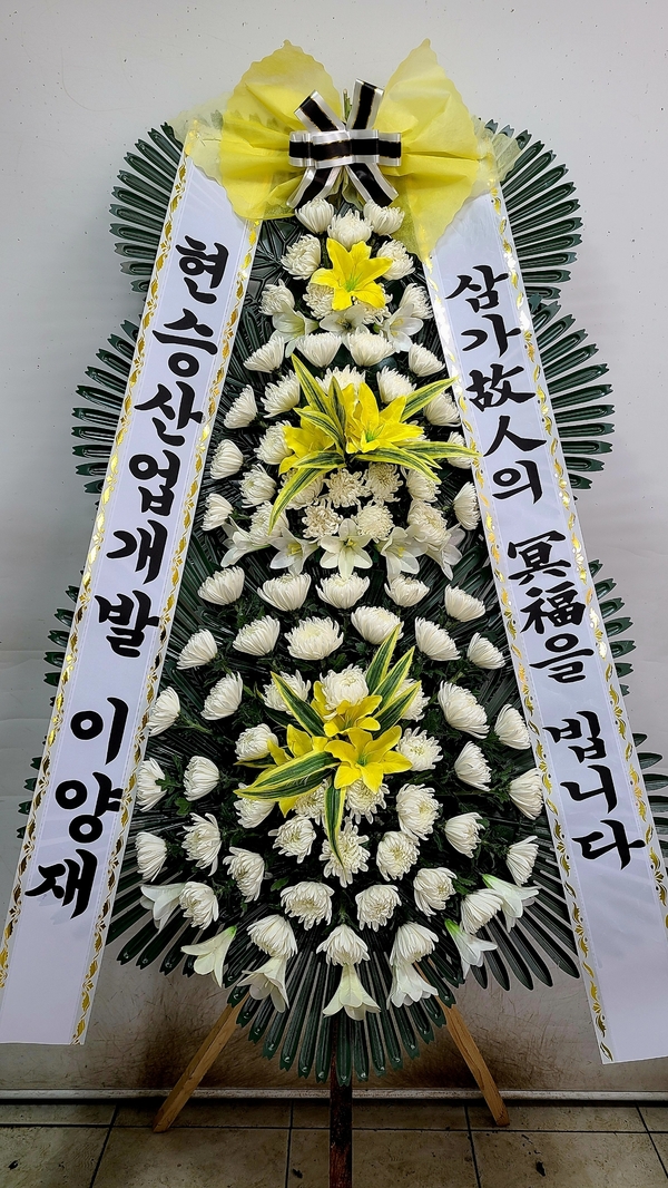업로드 이미지