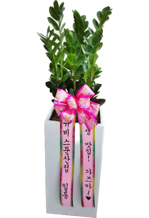 업로드 이미지