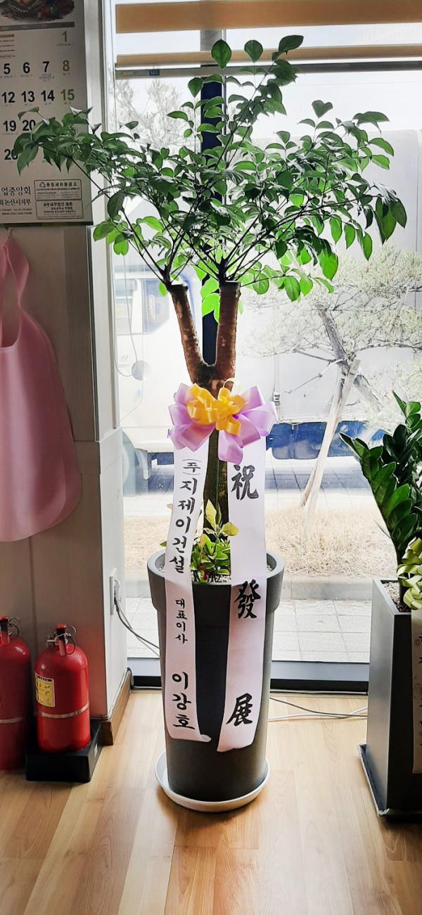 업로드 이미지