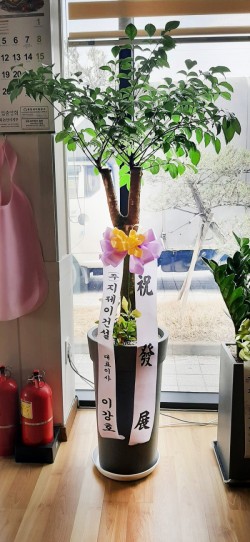 배송사진