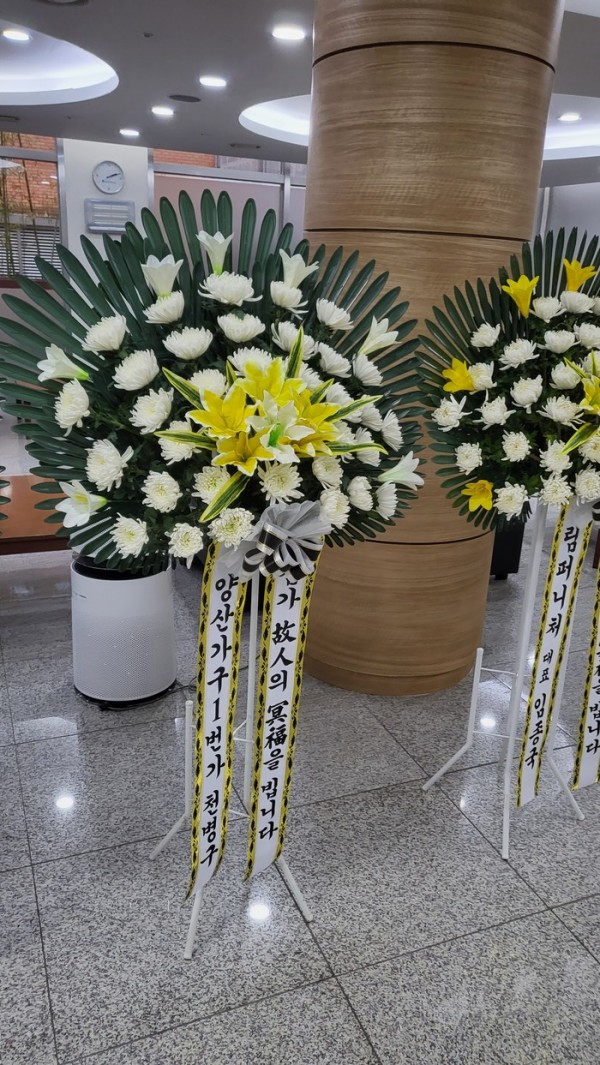 업로드 이미지