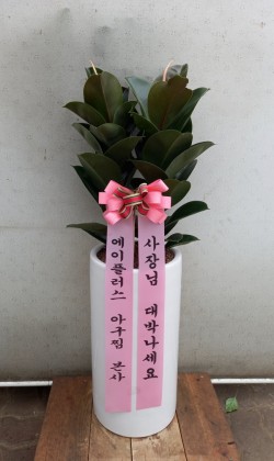배송사진
