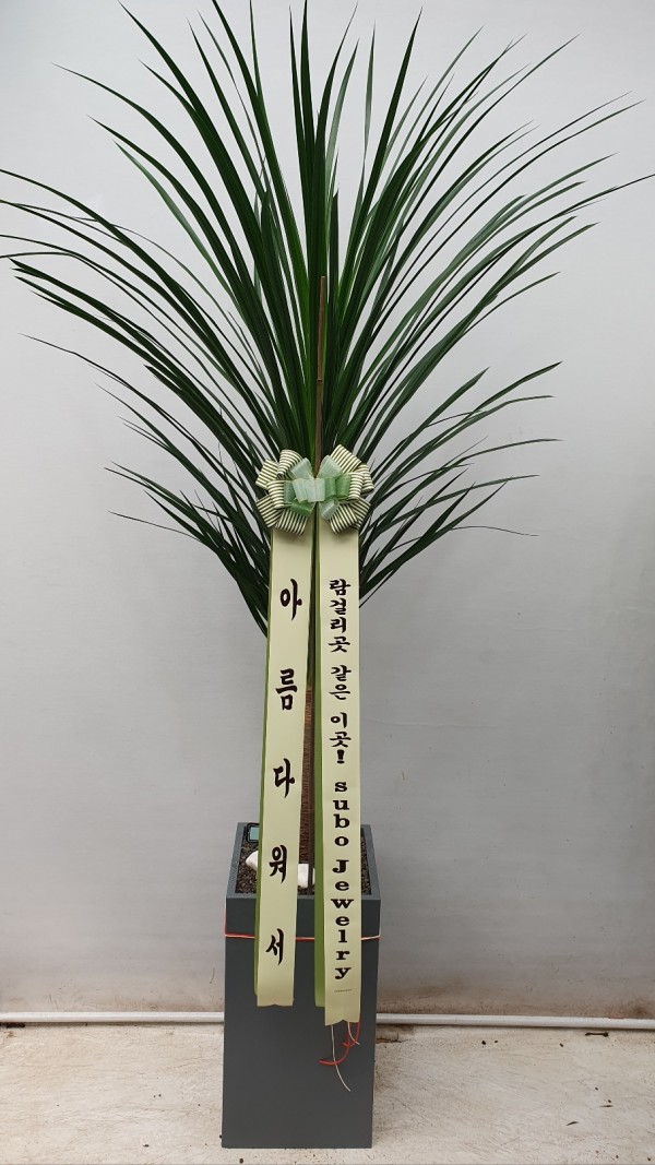 업로드 이미지
