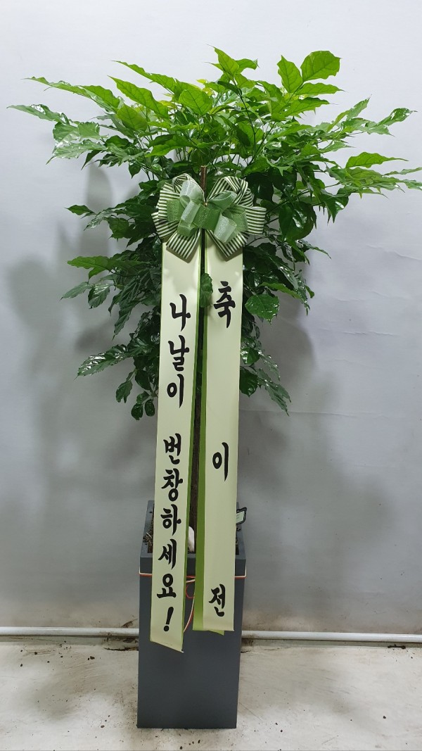 업로드 이미지