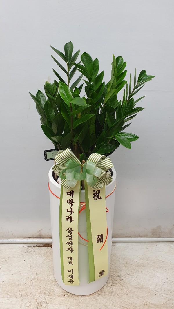 업로드 이미지