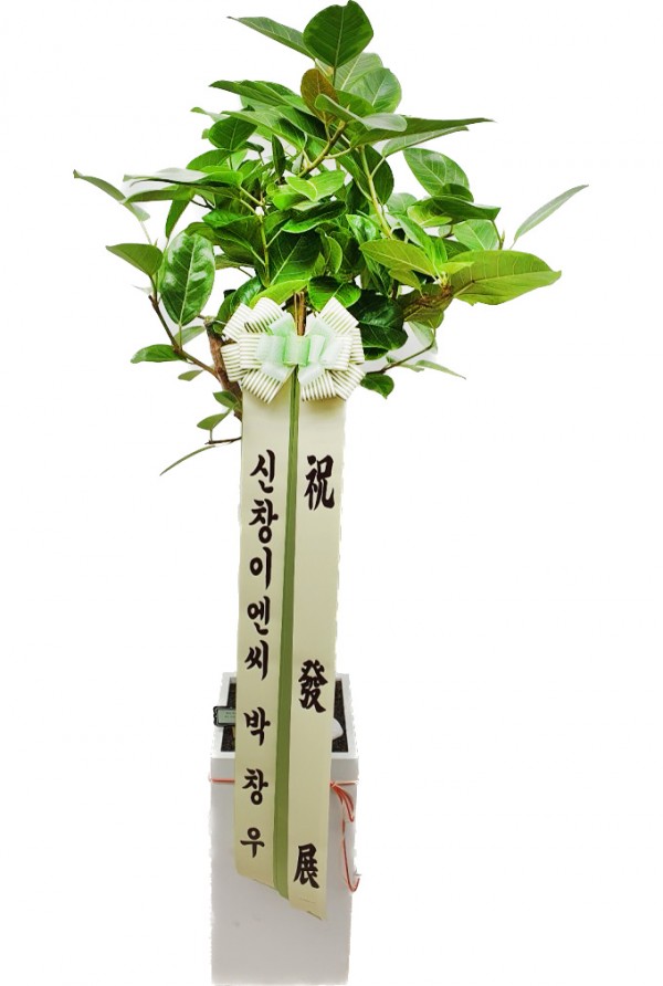 업로드 이미지